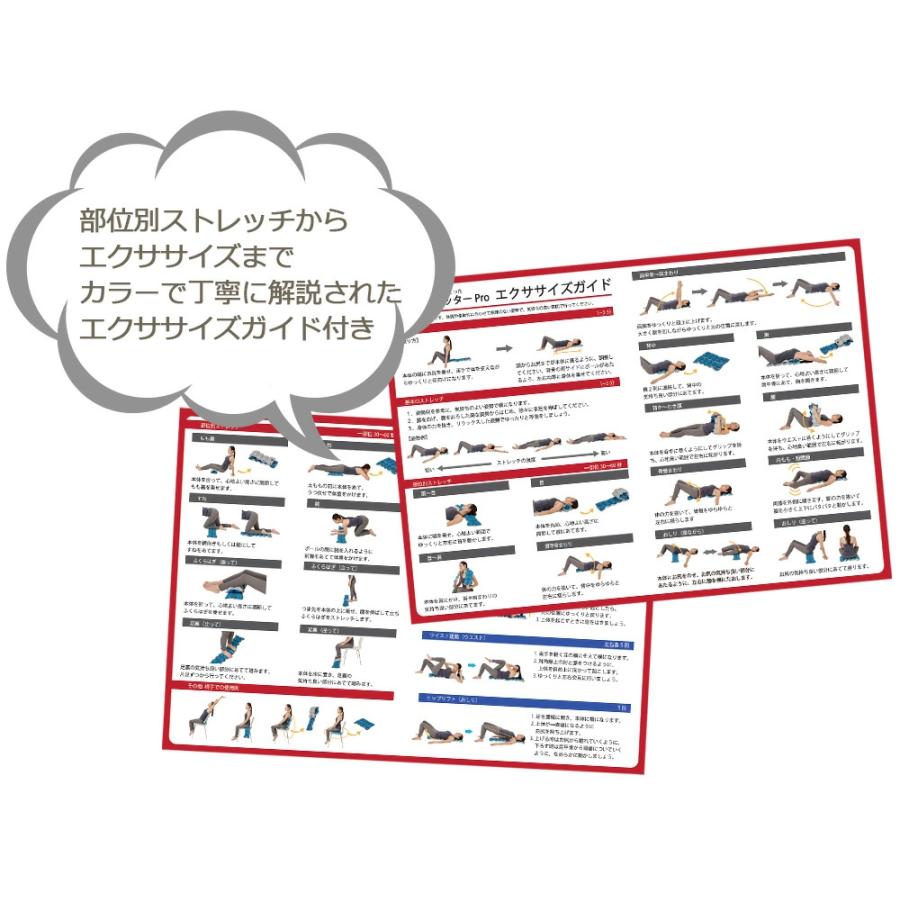 Re 【正規品】キューフィッターPro 連結型 リセットポール 筋膜