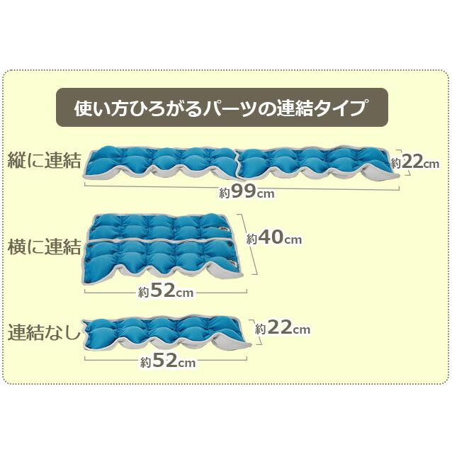 503567 ルネサンス　キューフィッターＰｒｏ Re キューフィッターPro 連結型 リセットポール 筋膜リリース