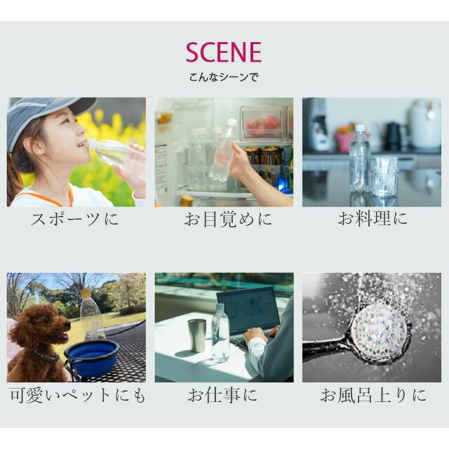 水素発生剤 ANYSUI エニスイ 継続30包 日本製 : ルネサンスYahoo!店