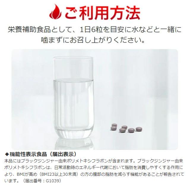 Re ルネサンス バーンアップDX 45g（250mg×180粒）ブラックジンジャー