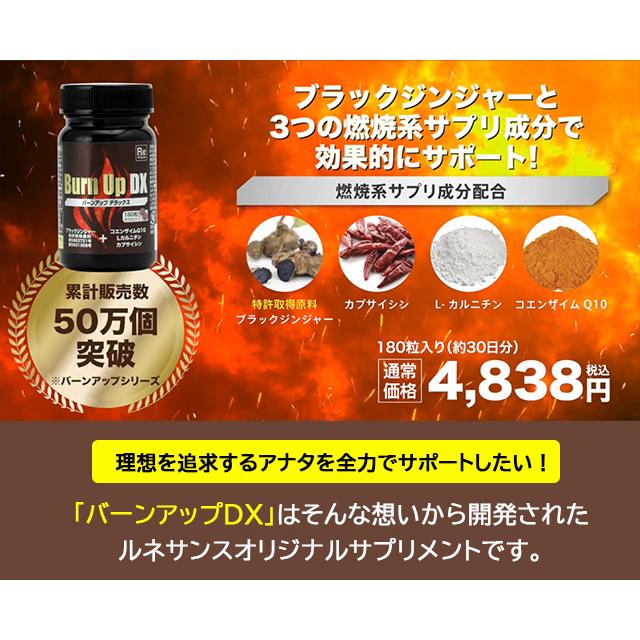 新品未開封　バーンアップデラックス　6個セット 新品未開封 バーンアップデラックス 6個セット 機能性表示食品】バーン