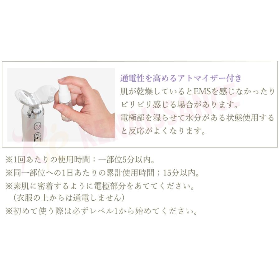 Re 【メーカー直販】P10倍! スタイリーフェイス 低周波EMS フェイス