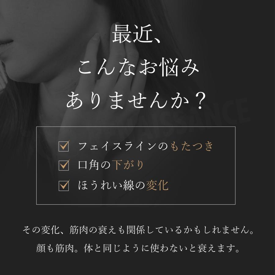 Re 【5,800円OFFクーポン配布中】【 メーカー直販 】 スタイリー