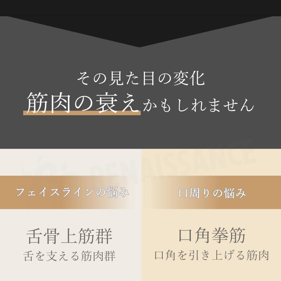 Re 【5,800円OFFクーポン配布中】【 メーカー直販 】 スタイリー