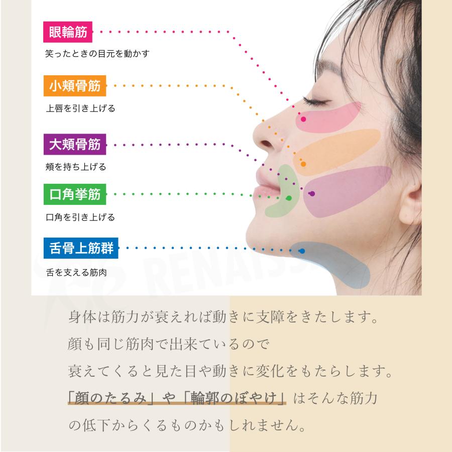Re スタイリーフェイス petit EMS Re 【 メーカー直販 】 スタイリーフェイスpetit 周波EMS フェイス