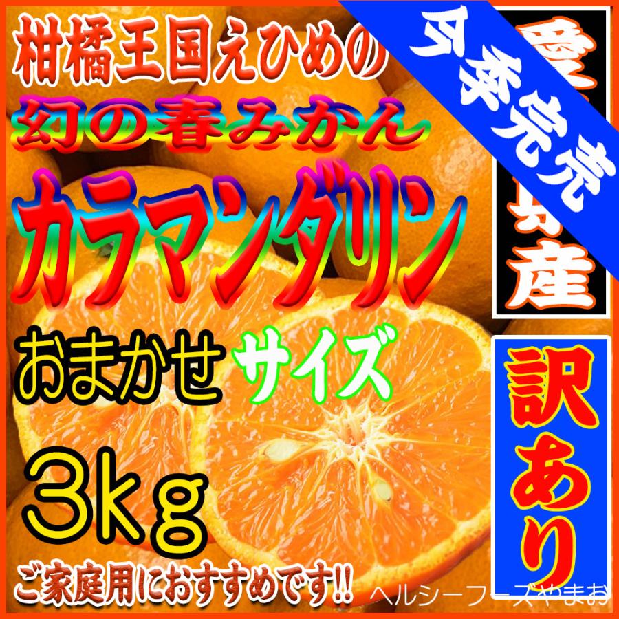 カラマンダリン 訳あり 特価 幻の春みかん ３ｋｇ入