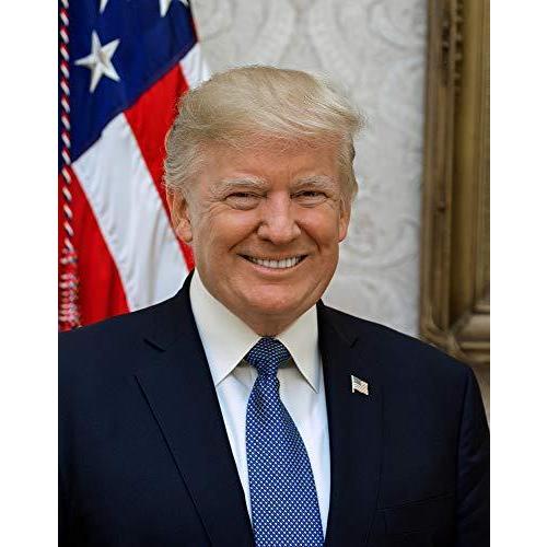 ドナルド・J・トランプ写真 - 2017年の歴史的なアートワーク - 米国大統領ポートレート写真プリントポスター - 素晴らしいヴィンテージウォール
