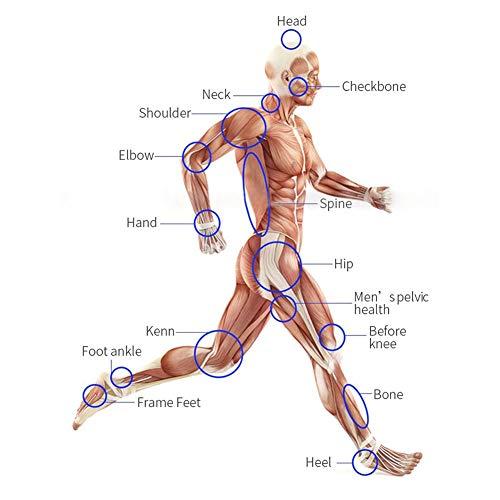 「送料無料・年末感謝」 YJJプロフェッショナルショックウェーブセラピーマシンED治療衝撃波動機の痛みの緩和マッサージ勃起不全のための7つのマッサージヘッドと血液循環健 【HO3143816448】(111102円)