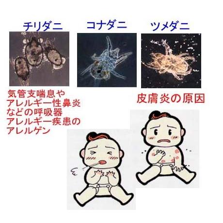 敷きカバー　クィーンサイズ　クイーンサイズ防ダニ通過０％ |  | 02