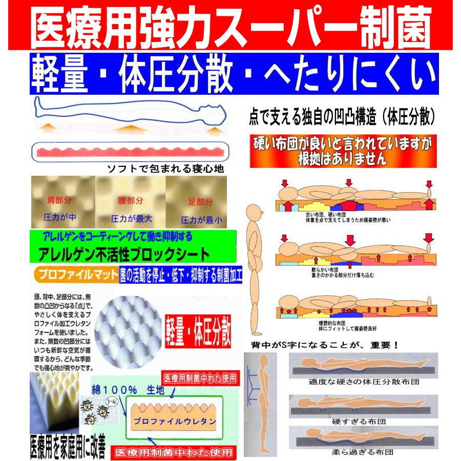 敷布団 シングル 日本製 病院医療用 敷き布団 軽量 しきふとん 抗菌 防ダニ 腰痛 アレルギー S体圧分散 敷ふとんpr赤 :s-shiki-siguma-taiatubunsan-13800:萩原綿業株式会社 - 通販 - Yahoo!ショッピング 敷布団 シングル 日本製 病院医療用 敷き布団 軽量 しきふとん 抗菌 防ダニ 腰痛 アレルギー S体圧分散 敷ふとんpr赤 :s-shiki-siguma-taiatubunsan-13800:萩原綿業株式会社 - 通販 - Yahoo!ショッピング