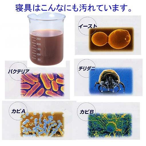 敷布団 シングル 日本製 強力医療用 敷き布団 軽量 敷ふとん しきふとん 抗菌 防ダニ 腰痛 アレルギー s３層敷ふとん　赤｜hghr｜06