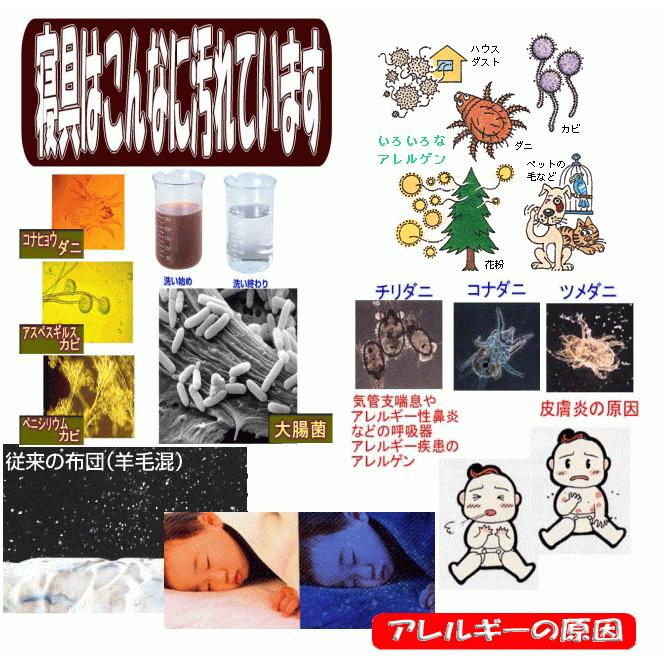 敷布団 シングル 日本製 病院業務用 敷き布団 軽量 敷ふとん しきふとん 抗菌 防ダニ 腰痛 アレルギー s3層敷ふとん橙 :s-wsrncmtc-arufa-gokuhuto-emys6279:萩原綿業株式会社 - 通販 - Yahoo!ショッピング 敷布団 シングル 日本製 病院業務用 敷き布団 軽量 敷ふとん しきふとん 抗菌 防ダニ 腰痛 アレルギー s3層敷ふとん橙 :s-wsrncmtc-arufa-gokuhuto-emys6279:萩原綿業株式会社 - 通販 - Yahoo!ショッピング
