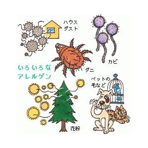 掛布団 シングル 日本製 病院業務用 掛け布団 軽量 洗える かけ 掛布団 シングル 日本製 病院業務用 掛け布団 軽量 洗える かけ
