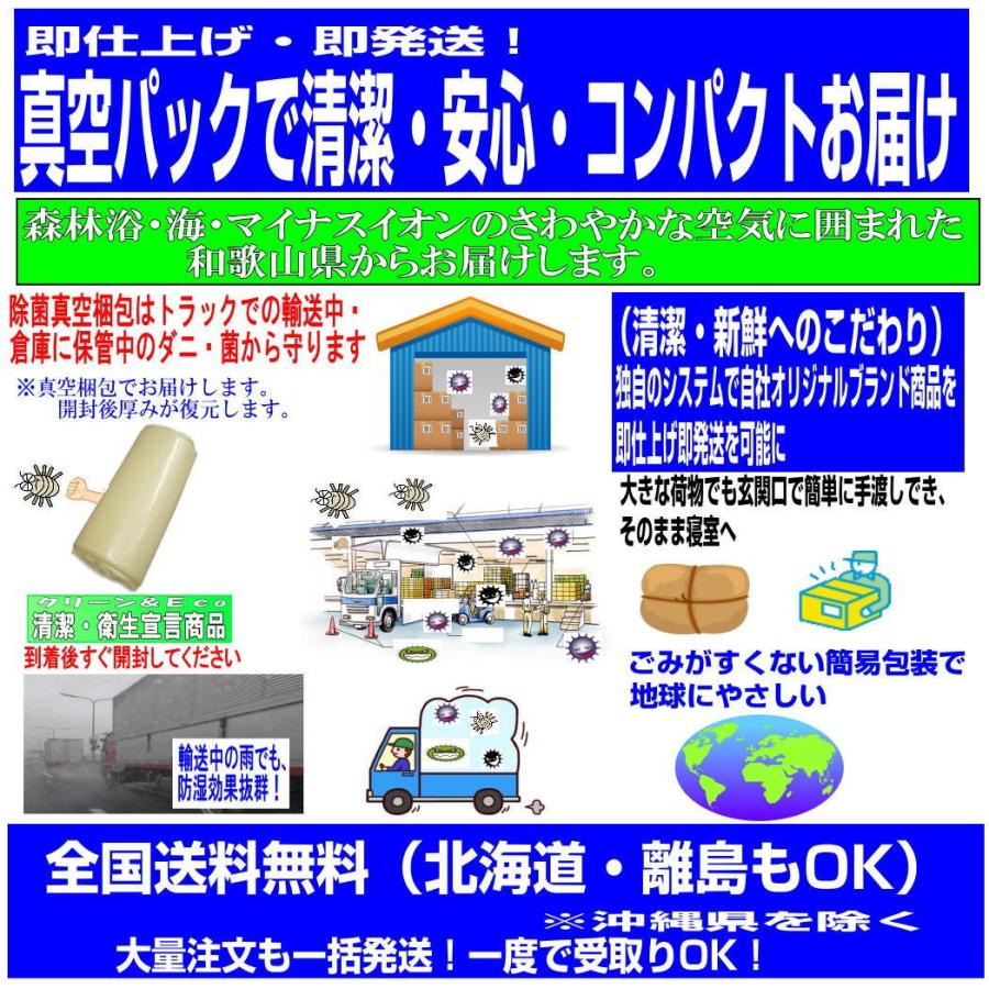 掛布団 シングル 日本製 強力医療用 掛け布団 軽量 洗える かけふとん 抗菌 防ダニ 冬用 アレルギー s掛けふとん赤｜hghr｜03