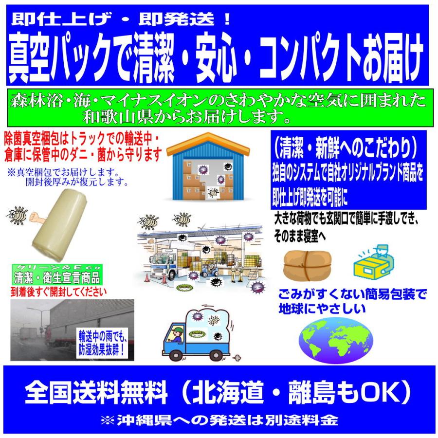 布団セット セミダブル 日本製 強力医療用 掛布団 敷布団 ふとん 抗菌 防ダニ 腰痛 アレルギー SD３層組布団赤 |  | 11