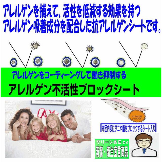 布団セット セミダブル 日本製 強力医療用 掛布団 敷布団 ふとん 抗菌 防ダニ 腰痛 アレルギー SD３層組布団赤 |  | 06