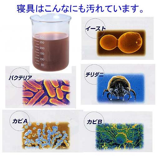 掛布団 ダブル 日本製 病院業務用 掛け布団 軽量 洗える かけふとん 抗菌 防ダニ 冬用 アレルギー W掛けふとん赤｜hghr｜03