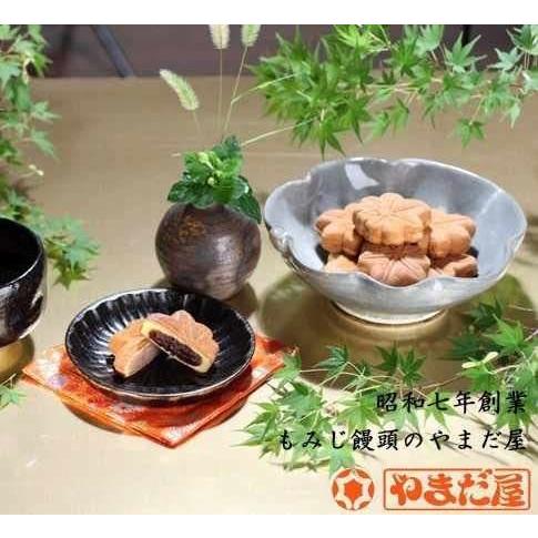 広島名物 広島ブランド 詰め合せ 10個入 もみじ饅頭、桐葉菓各５個 やまだ屋 饅頭 宮島 お土産 和菓子 銀座tau 送料無料 G7広島サミット｜hgurume｜06