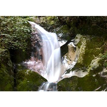 にしきの天然水 2L 6本入り 山口県錦町 錦のおいしい水 軟水 送料込み