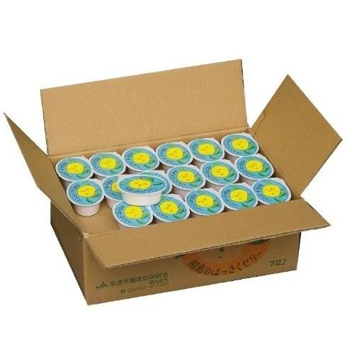 因島のはっさくゼリー 72個入り （78g×72個）ご家庭用お買得