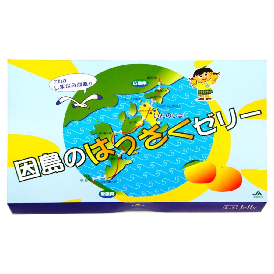 因島のはっさくゼリー １２個入り ３箱セット ７８ｇ×１２個×３箱 進物用 手提げ袋付き 送料無料 広島県産 おりづるタワー人気商品 お土産 銀座tau｜hgurume｜02