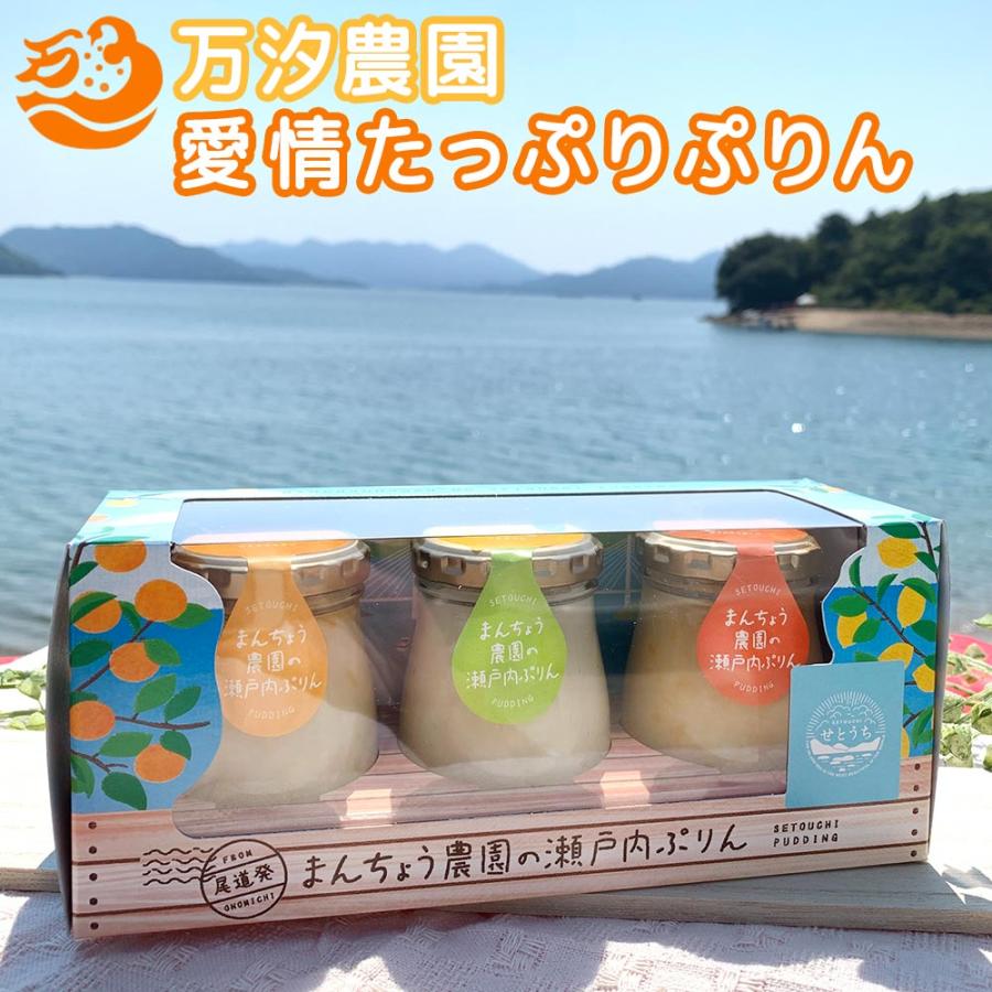 瀬戸内 愛情たっぷりぷりん 1箱3個入り 万汐農園 檸檬・八朔・蜜柑
