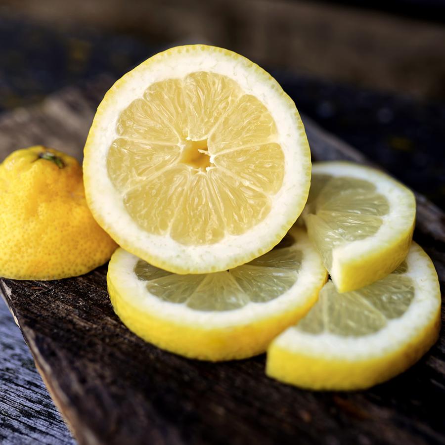 レモンのタラちゃん 1袋 16g 20袋セット 送料無料 ヤマトフーズ