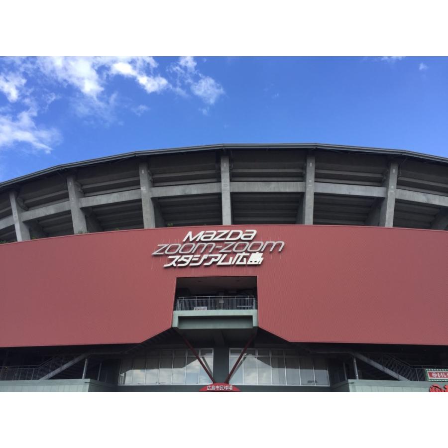 カープ応援 ポイント5倍! 広島名産 カープ 勝鯉のスパイシーせんじ肉 3袋セット ホルモン珍味 せんじがら 送料無料 ガツガツGUTS! ポストお届け便 お土産|hgurume|05