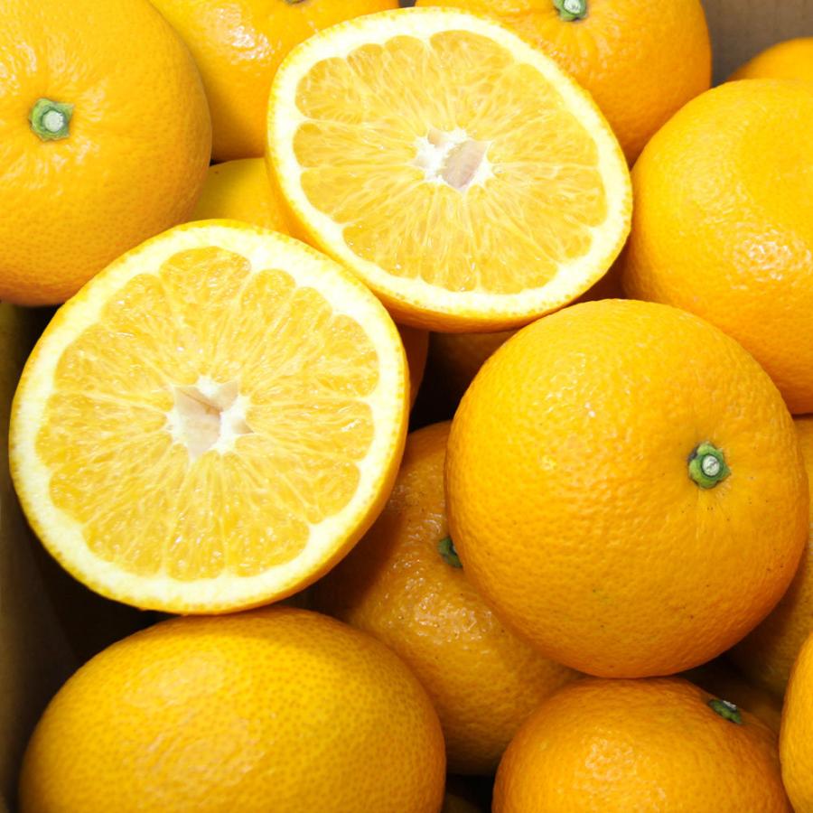 ショップ 瀬戸田産はっさく使用 ふるさとはっさく ゆず入り 3袋セット 15g 6袋入 3 粉末清涼飲料 送料無料 広島県三原農業共同組合 Wantannas Go Id