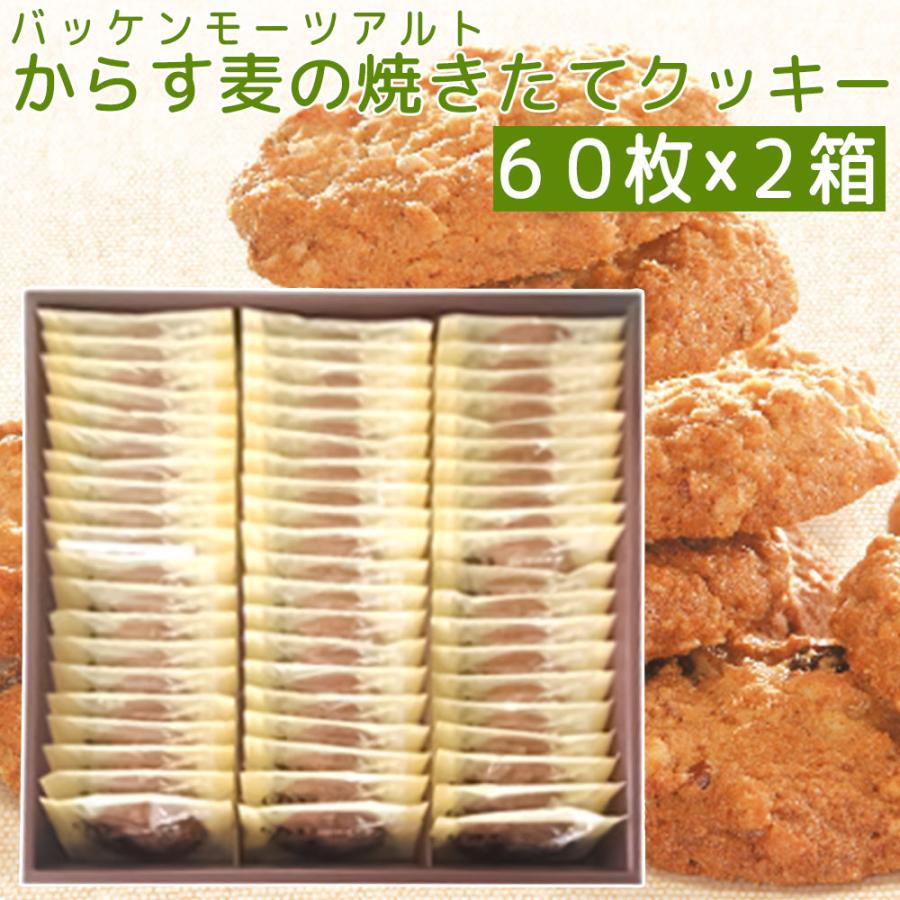 モーツアルト からす麦の焼きたて クッキー 60枚入り、2箱セット