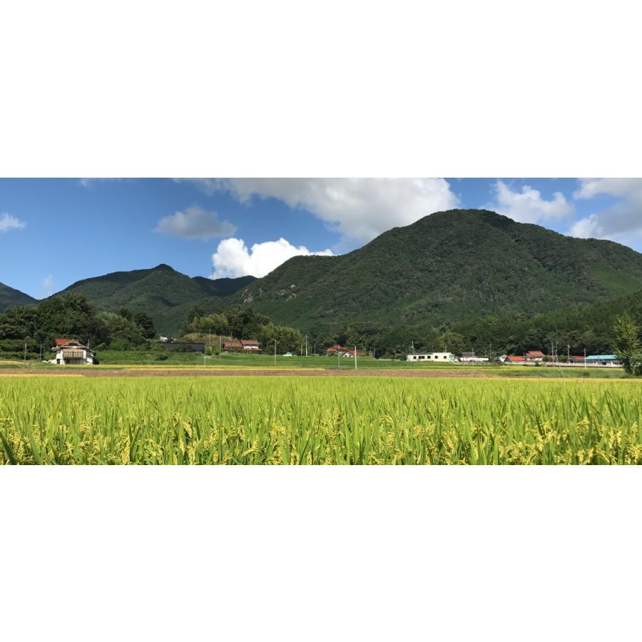 のどくろ だし醤油 100ml 3本セット 送料込み 島根 垣崎醤油店 しょうゆ 刺身 お取り寄せグルメ|hgurume|06