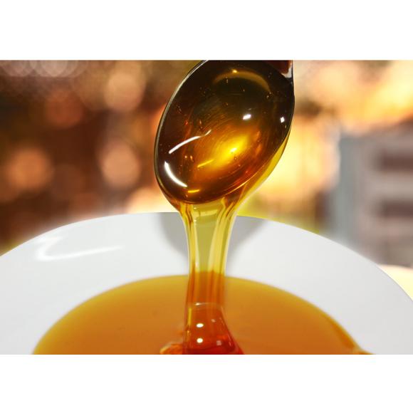 バルパルマック パイン・ハニー 350g 6本セット トルコ産