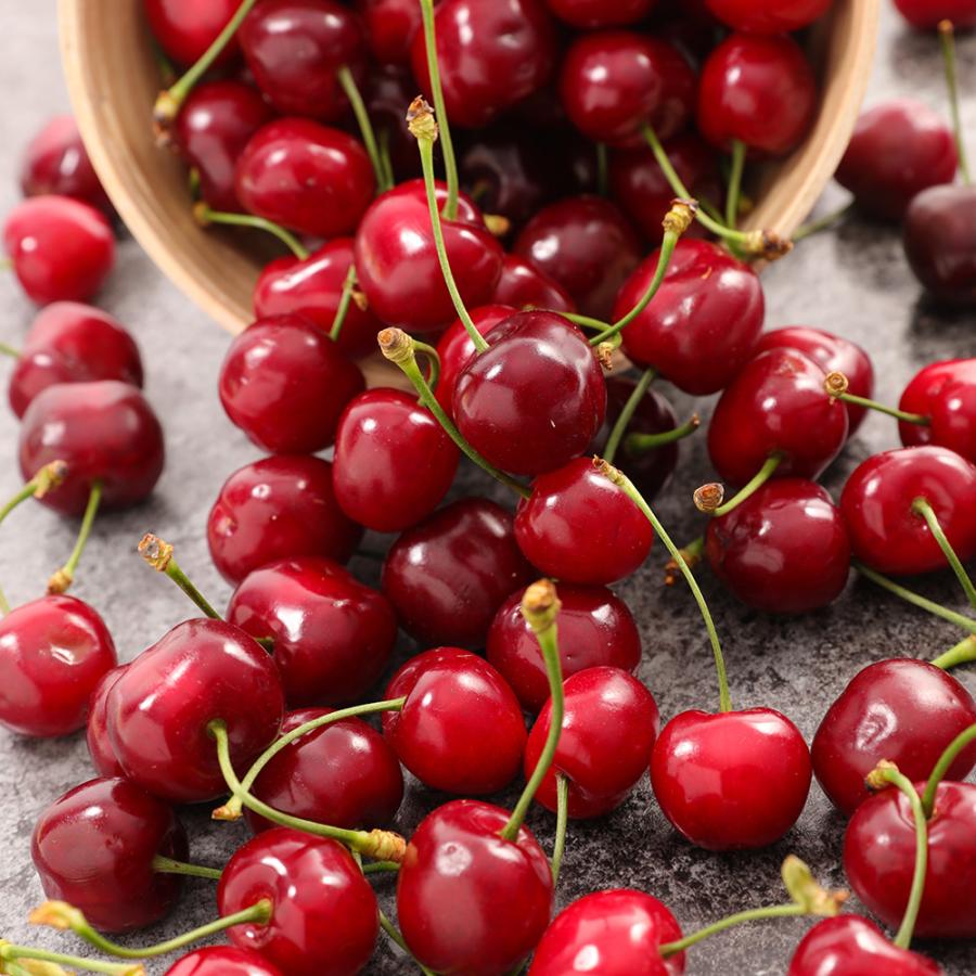 ソリダルノ チェリーリキュールチョコ バロティン 190g 2箱セット