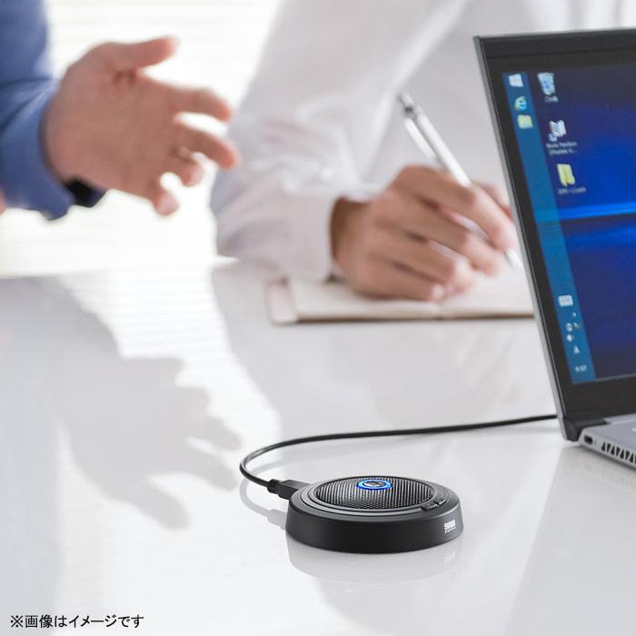 PRINCETON（プリンストン） 中古 サンワサプライ WEB会議高感度 USB