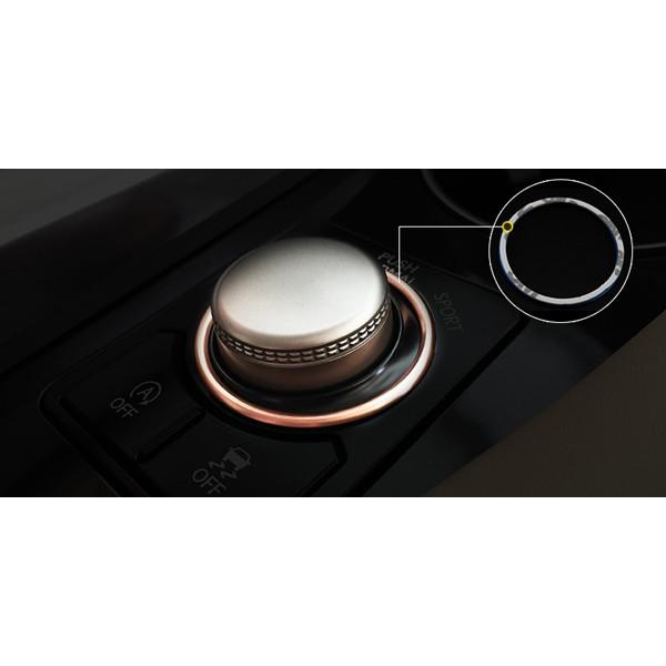 レクサス NX ハイブリット カスタム パーツ アクセサリー LEXUS 200t