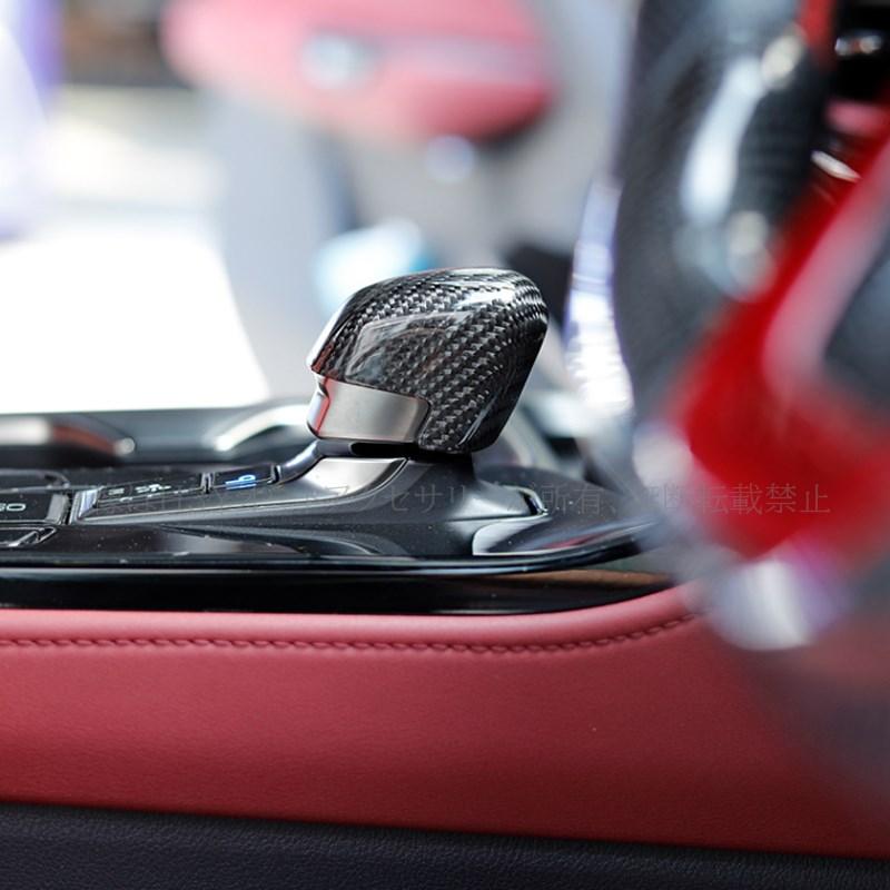 レクサスNX 20系 カスタム パーツ アクセサリー リアルカーボン