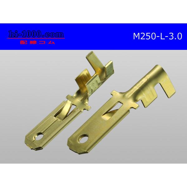 ○矢崎総業250型オス端子(3.0mm2電線用)/M250-L-3.0 :M250-L-30:配線コム - 通販 - Yahoo!ショッピング ○矢崎総業250型オス端子(3.0mm2電線用)/M250-L-3.0 :M250-L-30:配線コム - 通販 - Yahoo!ショッピング