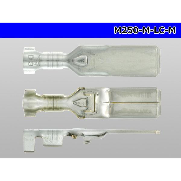 ○矢崎総業250型91シリーズM-LCタイプM端子(Mサイズ)/M250-M-LC-M :M250-M-LC-M:配線コム - 通販 - Yahoo!ショッピング ○矢崎総業250型91シリーズM-LCタイプM端子(Mサイズ)/M250-M-LC-M :M250-M-LC-M:配線コム - 通販 - Yahoo!ショッピング