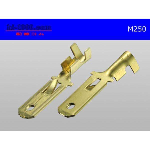 ●矢崎総業250型オス端子(0.85〜2.0mm2電線用)オス端子/M250|hi-1000|02