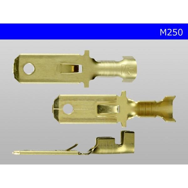 ●矢崎総業250型オス端子(0.85〜2.0mm2電線用)オス端子/M250|hi-1000|03