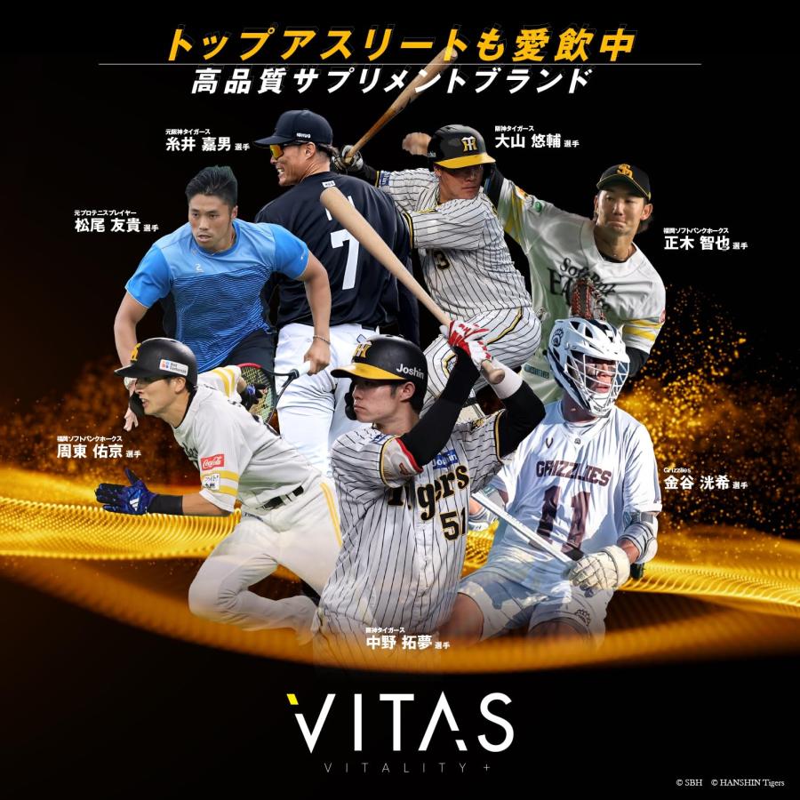 VITAS (バイタス) ホエイ プロテイン 100 マンゴー風味 WPCプロテイン 国内製造 1kg｜hi-ka-ri-store｜06