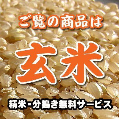 福島 会津産 コシヒカリ 玄米 1kg｜hi-komekome