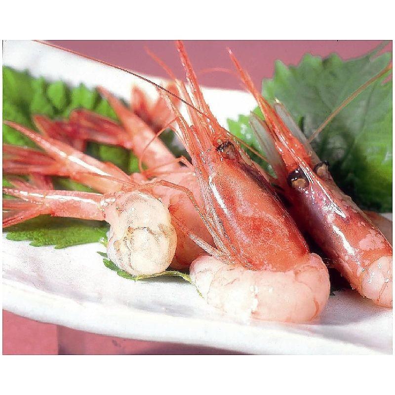 産地直送 お取り寄せグルメ ) 日本海 甘エビ 500g (45〜50尾) :700-9316r:ハイセレクト - 通販 - Yahoo!ショッピング 産地直送 お取り寄せグルメ ) 日本海 甘エビ 500g (45〜50尾) :700-9316r:ハイセレクト - 通販 - Yahoo!ショッピング