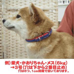 首輪 本革 中型犬 瀬川製作所 ドイツなめし本革製半丸首輪 4号 1115 ゆうパケ対応 ハーイわんこにゃんこ 通販 Yahoo ショッピング