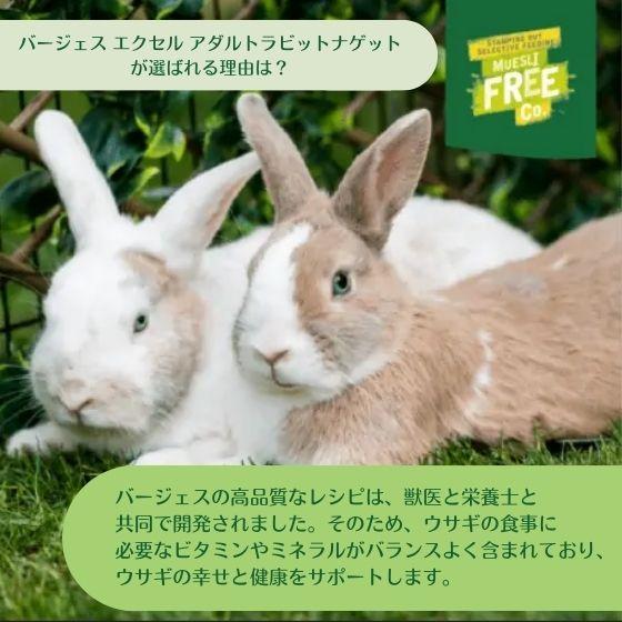 Burgess エクセル ラビット アダルト 1.5kg うさぎ フード Burgess エクセル ラビット アダルト 1.5kg うさぎ フード