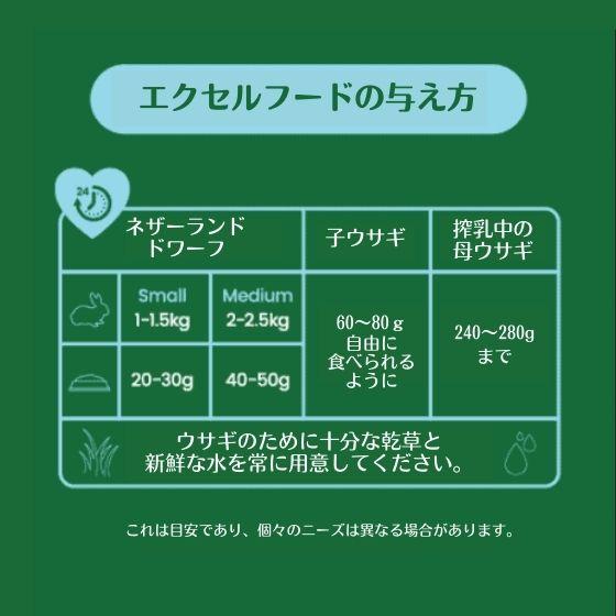 Burgess エクセル ラビット ジュニア&ドワーフ 1.5kg うさぎ Burgess エクセル ラビット ジュニア&ドワーフ 1.5kg うさぎ