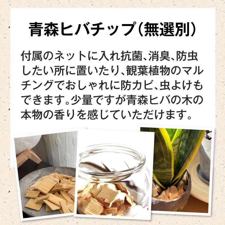 青森ヒバチップ約1g 無選別 青森ヒバ油5ml 巾着袋1枚つき 観葉植物のマルチングで防虫 消臭 抗菌 Hibachip 高品質 青森ヒバ油 Hibanowa 通販 Yahoo ショッピング