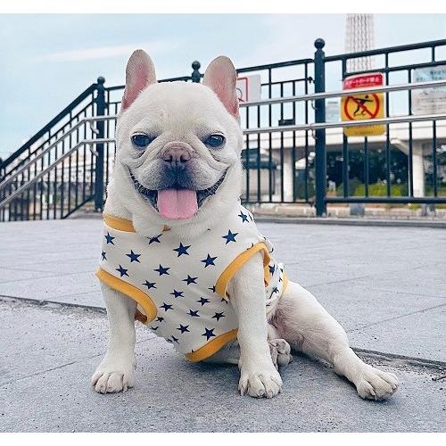 フレンチブルドッグ 服 ピヨピヨスター 柔らかスムースニット