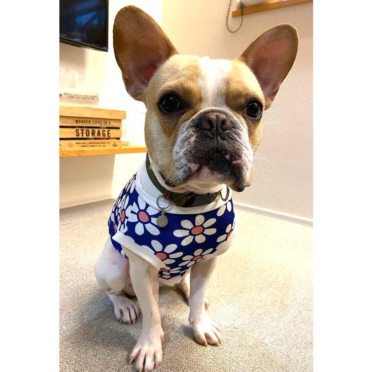 Meggy様 フレブル服 ハンドメイド フレンチブルドッグ 服 未来の世界の〜マーガレットカットソー 快適 袖