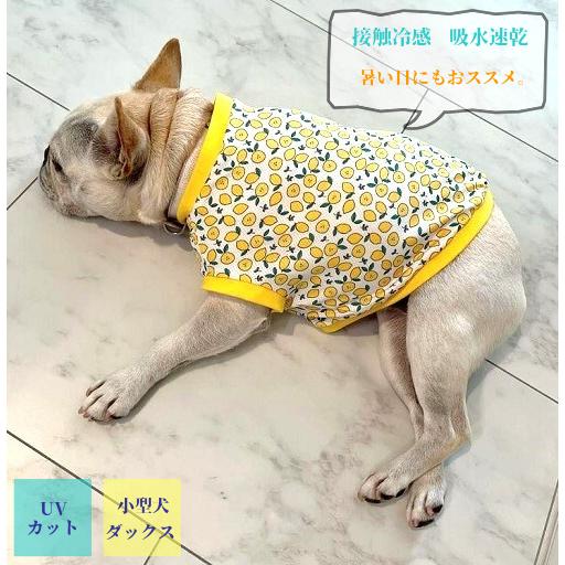 フレブル服★Tシャツ/アウター★まとめ売り ひんや〜り接触冷感 吸水速乾 フレンチブルドッグ 服 さわやかもぎたて